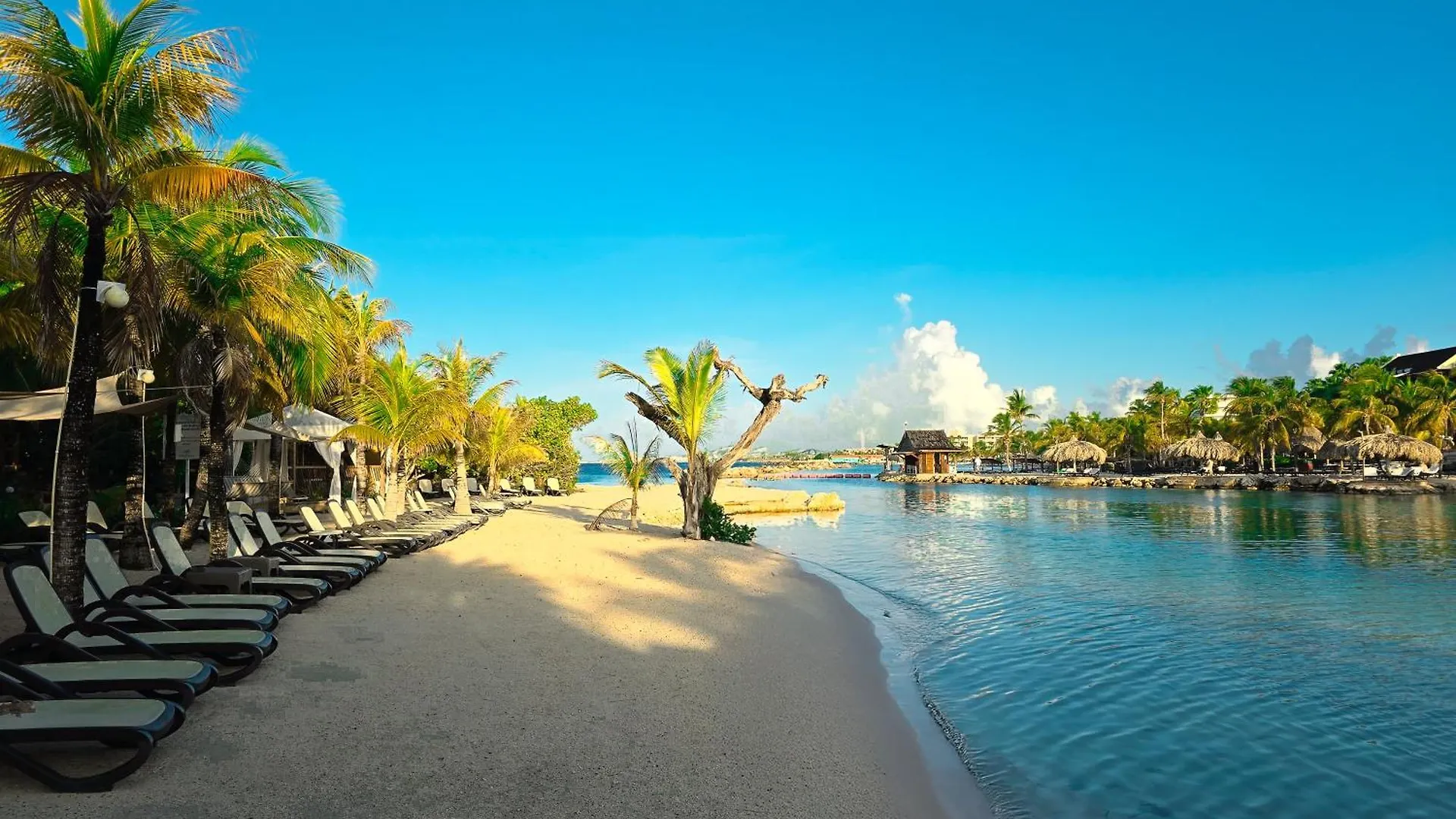*****  The Royal Sea Aquarium Resort Willemstad Curaçao