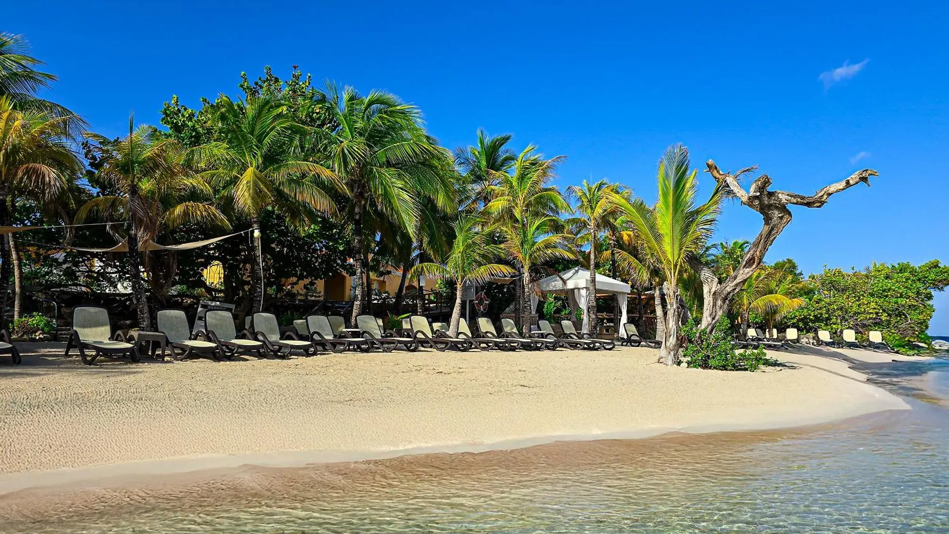 The Royal Sea Aquarium Resort Willemstad