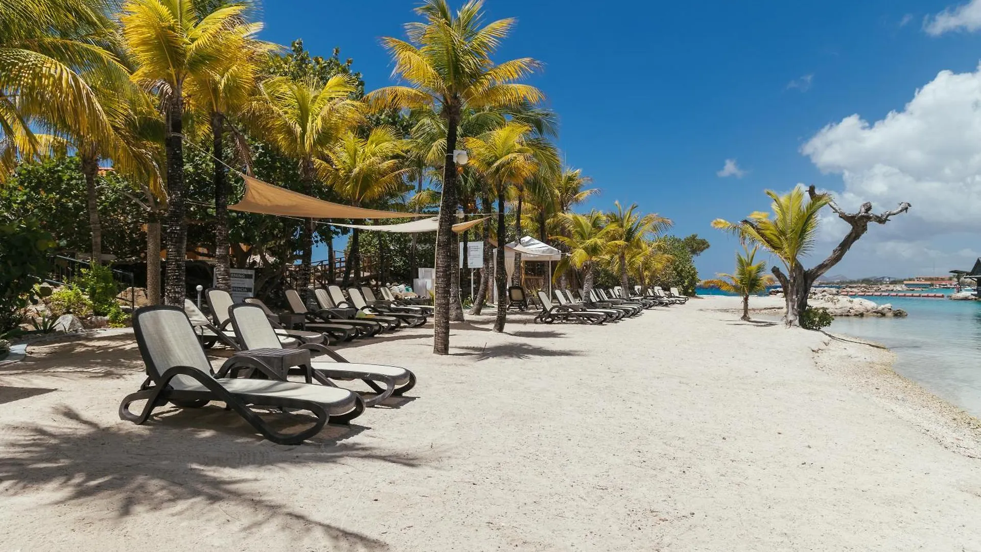 The Royal Sea Aquarium Resort Willemstad