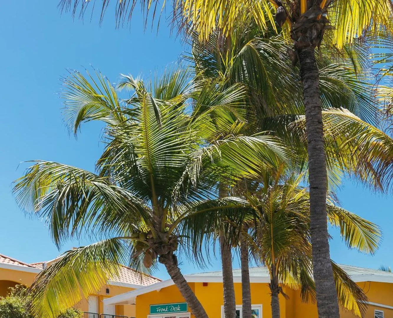 The Royal Sea Aquarium Resort Willemstad Curaçao