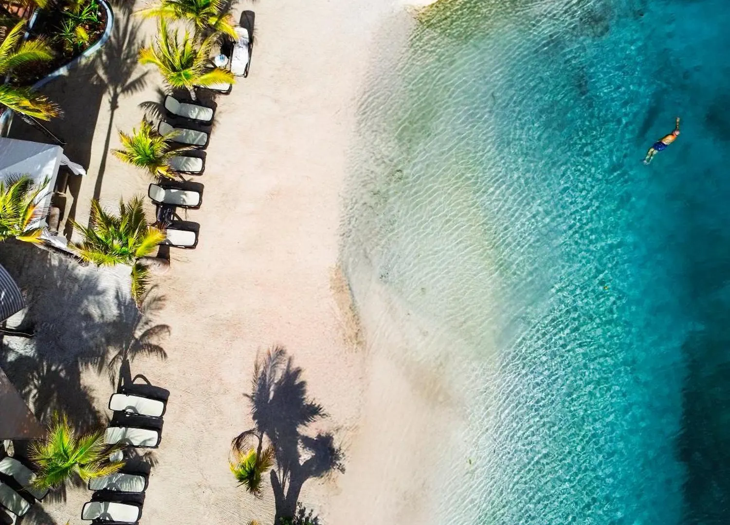 The Royal Sea Aquarium Resort Willemstad