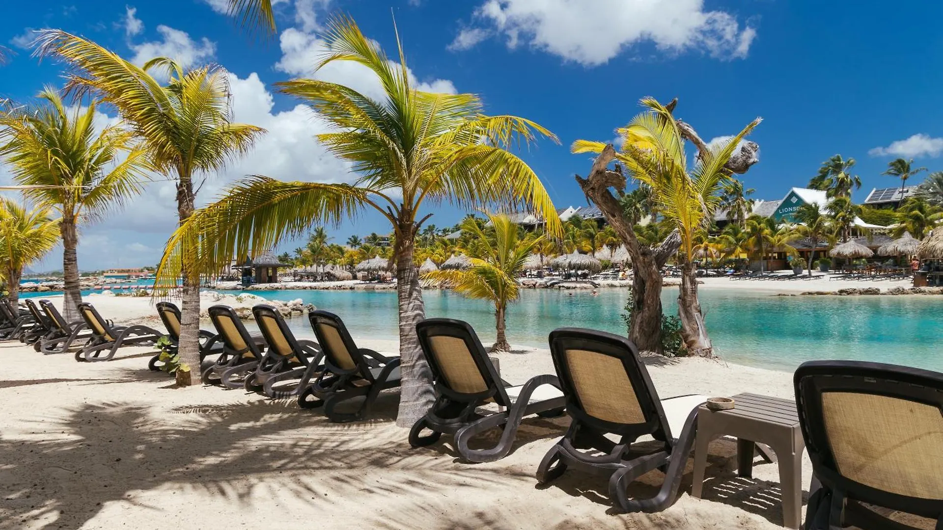 The Royal Sea Aquarium Resort Willemstad Curaçao
