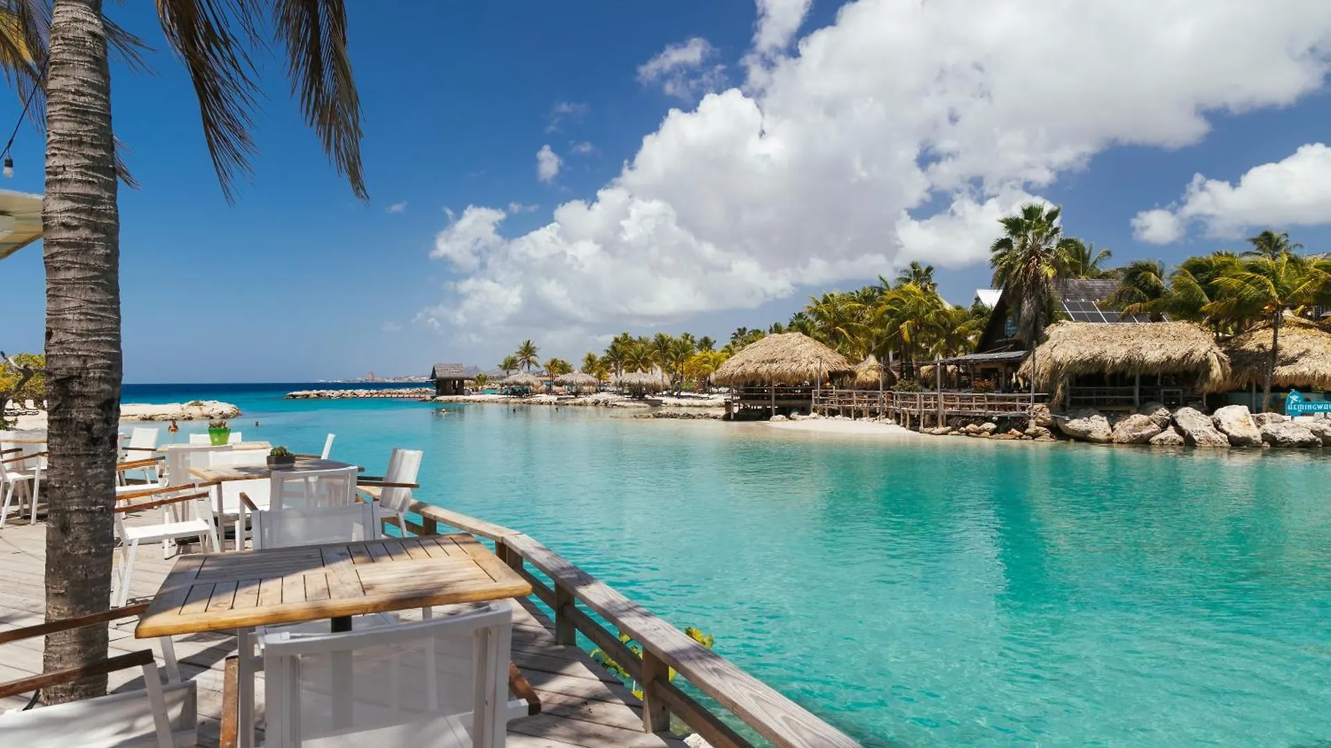The Royal Sea Aquarium Resort Willemstad 5*,  Curacao
