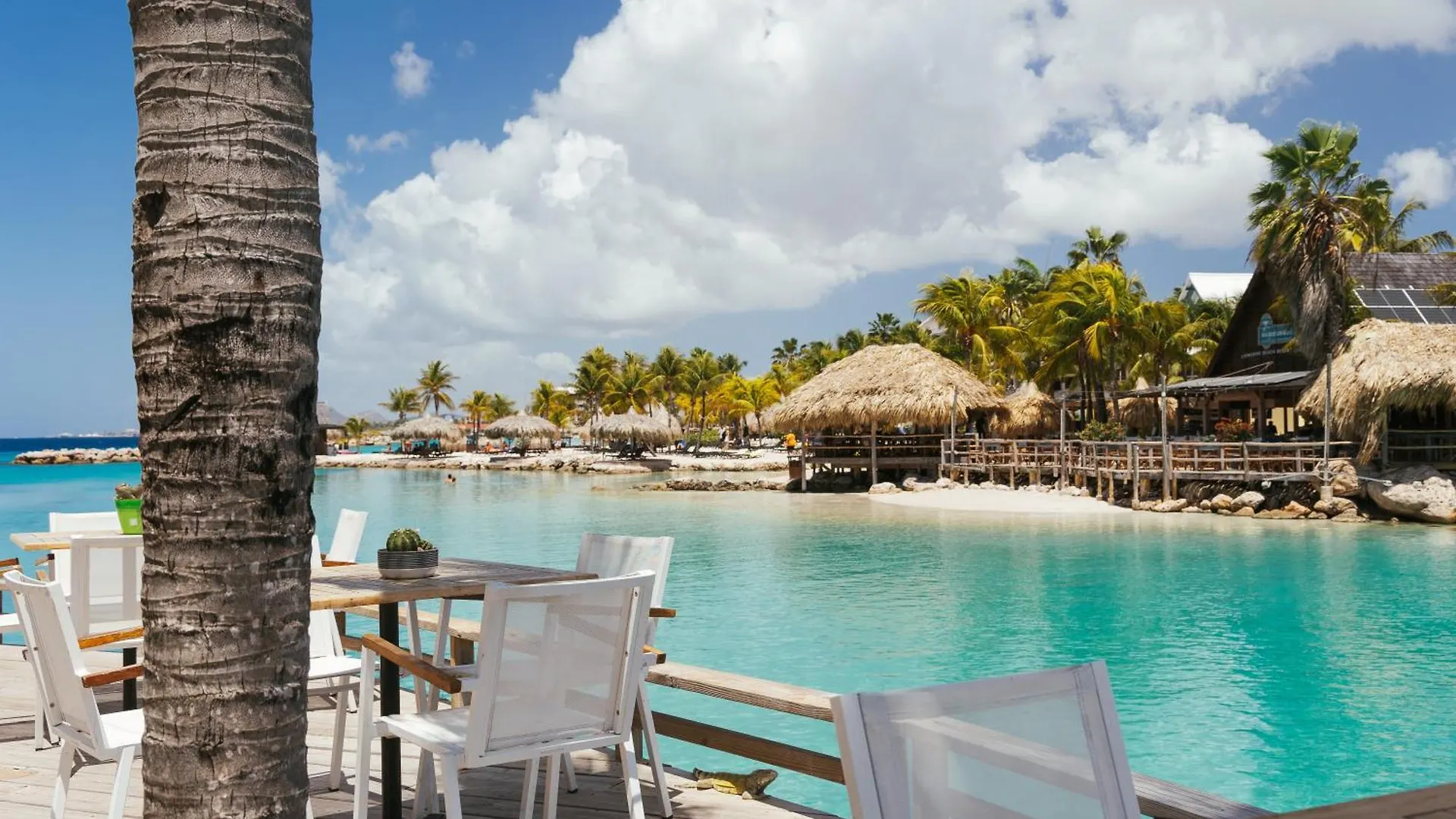 The Royal Sea Aquarium Resort Willemstad