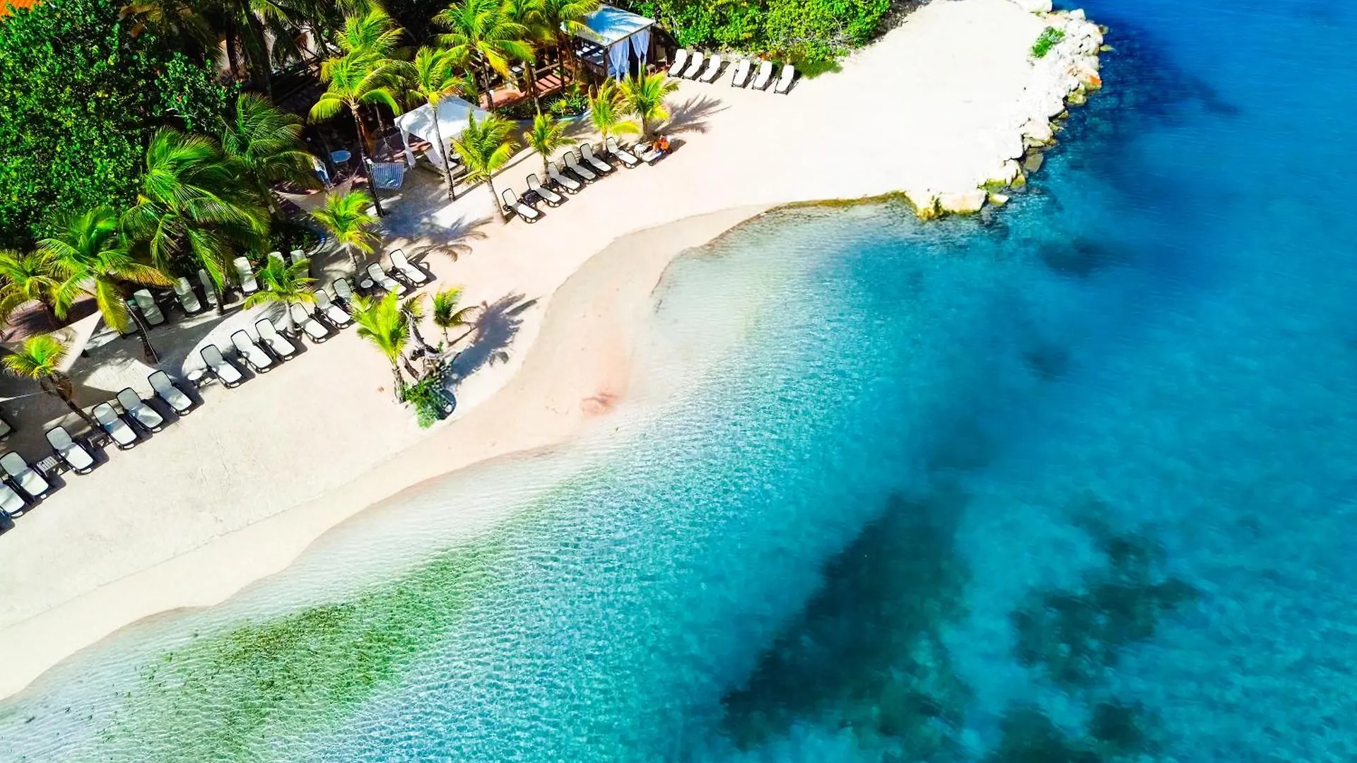 The Royal Sea Aquarium Resort Willemstad